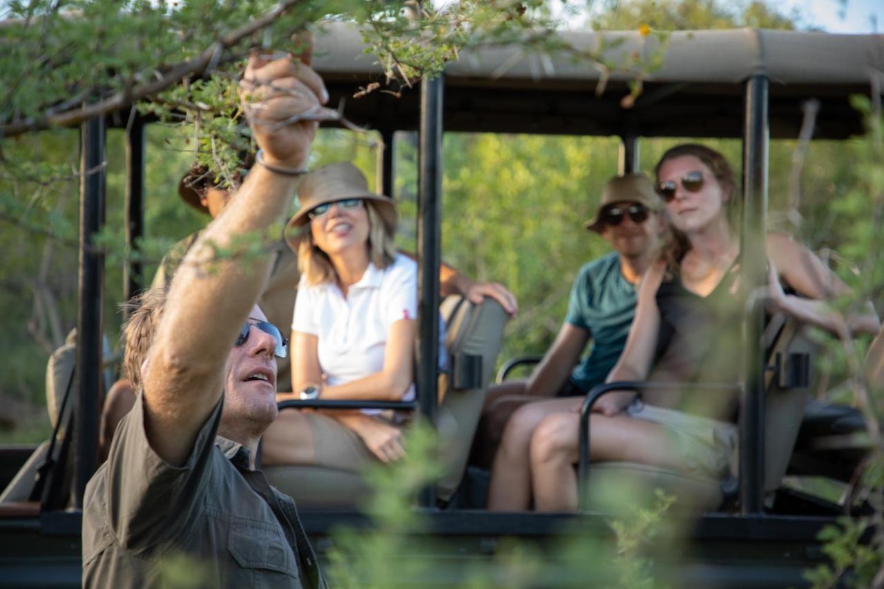 Parsons Hilltop Safari Camp Hotel Balule Game Reserve Exterior foto