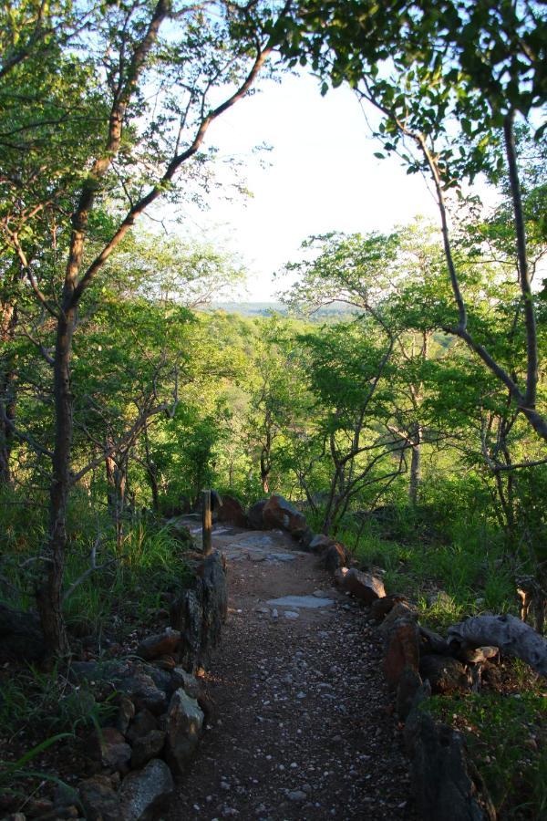 Parsons Hilltop Safari Camp Hotel Balule Game Reserve Exterior foto