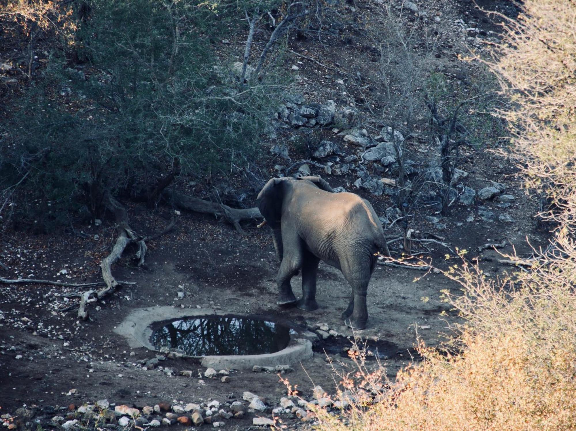 Parsons Hilltop Safari Camp Balule Game Reserve Exterior foto
