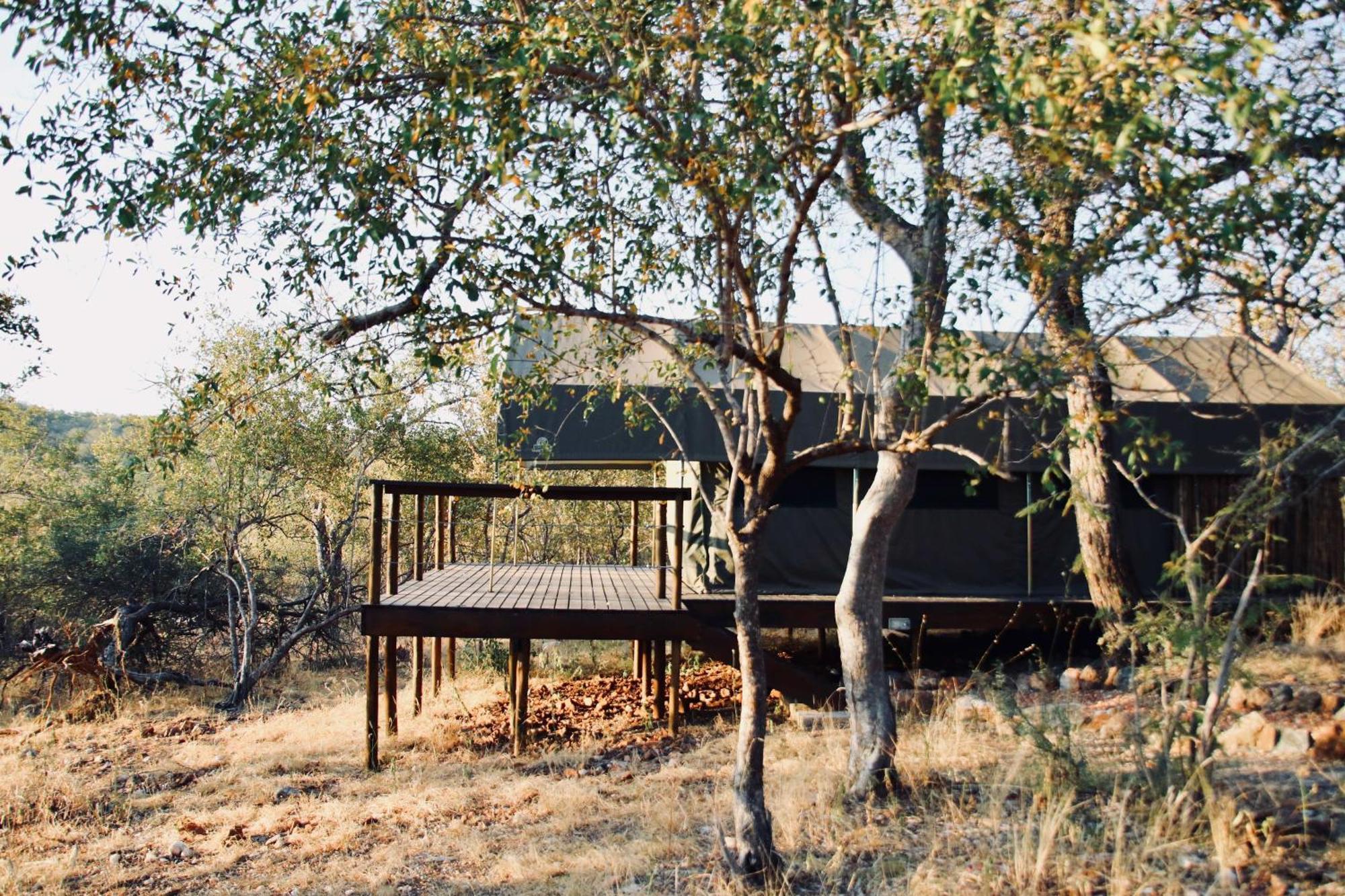 Parsons Hilltop Safari Camp Hotel Balule Game Reserve Exterior foto