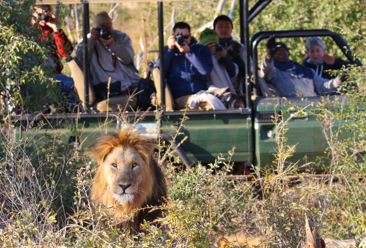 Parsons Hilltop Safari Camp Hotel Balule Game Reserve Exterior foto