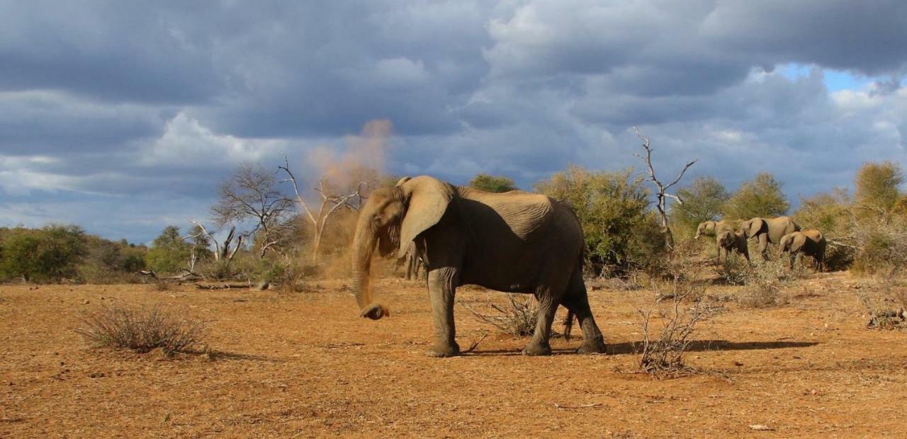 Parsons Hilltop Safari Camp Balule Game Reserve Exterior foto