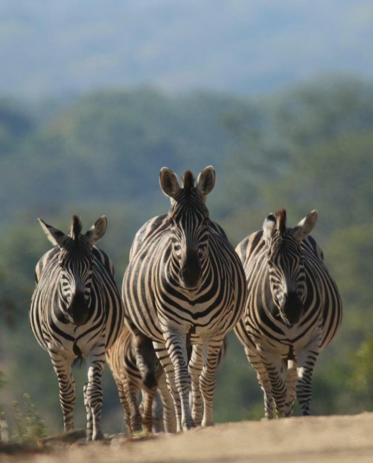 Parsons Hilltop Safari Camp Hotel Balule Game Reserve Exterior foto