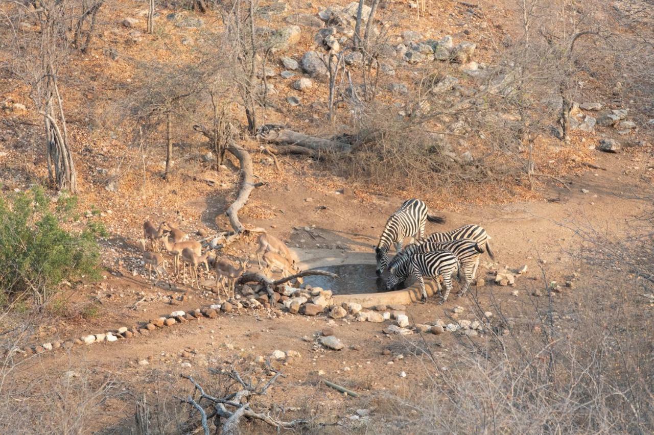 Parsons Hilltop Safari Camp Hotel Balule Game Reserve Exterior foto