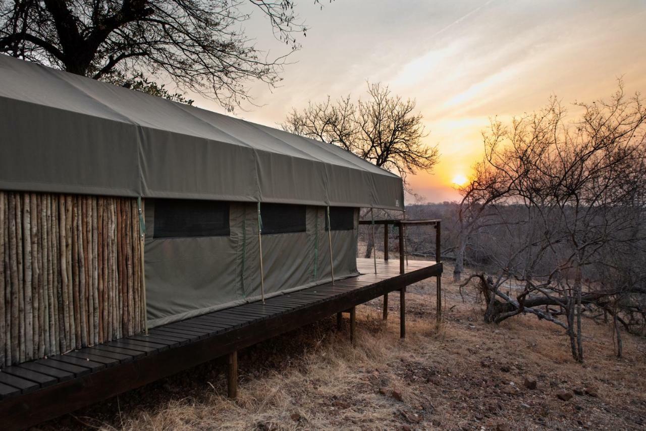 Parsons Hilltop Safari Camp Hotel Balule Game Reserve Exterior foto