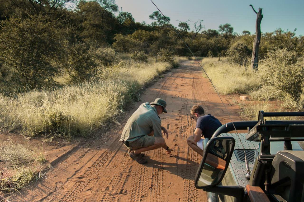 Parsons Hilltop Safari Camp Hotel Balule Game Reserve Exterior foto